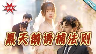 黑天鹅诱捕法则