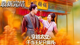 穿越农女不当王妃只搞钱