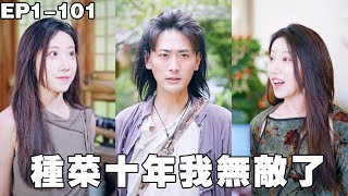 种菜十年我无敌，下山退婚被六美抢嫁