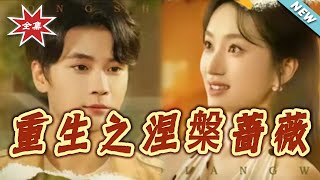 重生之涅槃蔷薇