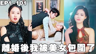 离婚后我被美女包围了