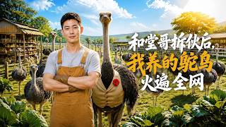 和堂哥拆伙后，我养的鸵鸟火遍全网