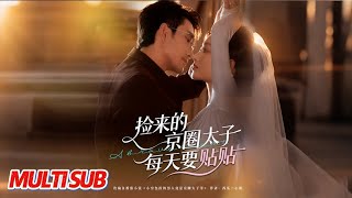 捡来的京圈太子每天要贴贴