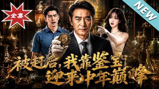 《被赶后，我靠鉴宝迎来中年巅峰》