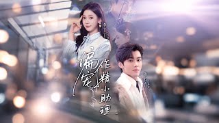 偏宠作精小助理