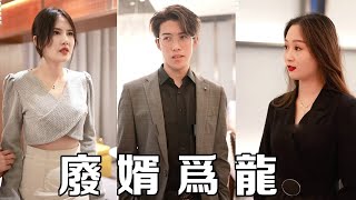 隐秘身份曝光：赘婿的逆转之战