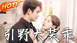 引野犬裝乖 第1~61集【高清完結全集】
