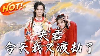 夫君今天我又渡劫了