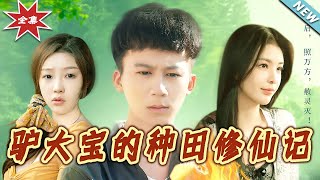 The Cultivation Journey of Donkey Dabao
