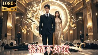 傻子逆襲：贅雁的絕世武功
