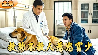 救狗不救人惹怒富少