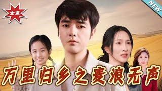 万里归乡之麦浪无声