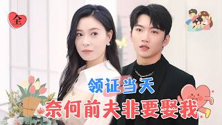 奈何前夫非要娶我