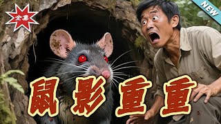 Shadow of the Rats