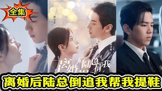 離婚後，陸縂的追愛逆襲