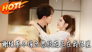謝綠茶不嫁之恩校花正在我懷裏