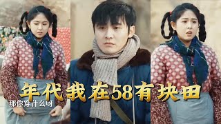 年代我在58有块田