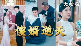 傻婿逆天