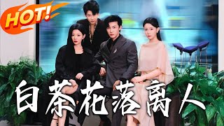 White Tea Flowers Fall, the Beloved Returns