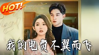 My Electricity Bill Disappeared Without a Trace