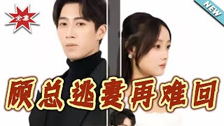 顾总逃妻再难回