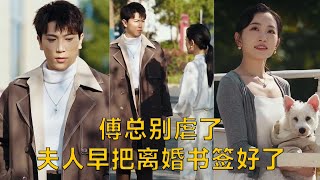 傅縂別虐了夫人早把離婚書簽好了