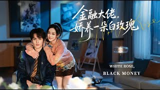 金融大佬，娇养一朵白玫瑰