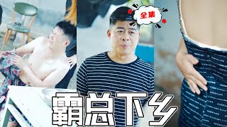 霸總下鄉記