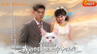 午夜缅因猫我的饲主竟是命中注定