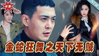 金蛇狂舞：天下無賊