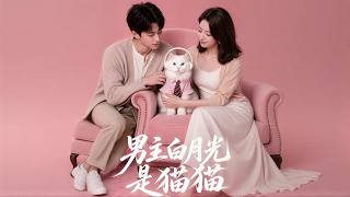 The Male Lead's White Moonlight Is a Cat