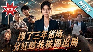 撑了三年猪场，分红时我被踢出局