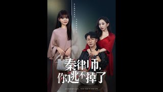 秦律师你逃不掉了