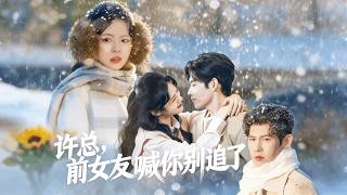 许总，前女友喊你别追了