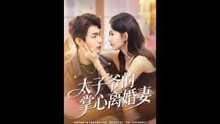 太子爷的掌心离婚妻