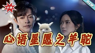 心语星愿之羊驼