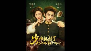 少帅抓错了，夫人不偷情报只偷心