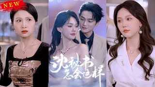 沈秘书怎会这样