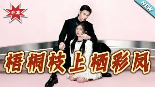 Phoenix Perches on the Wutong Branch