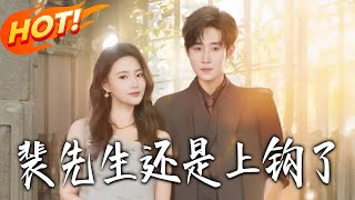 裴先生还是上钩了