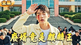 廢婿逆襲爲麒麟王