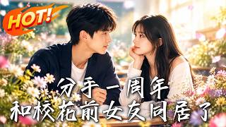 分手一周年，和校花前女友同居了