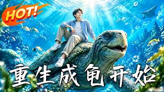 重生成龟开始：馆长的逆袭