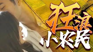 狂浪小辳民：鄕村逆襲記