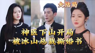 神毉下山開侷被冰山縂裁撕婚書