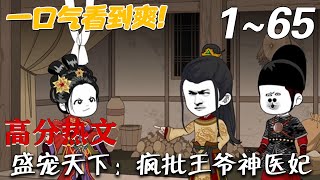 盛寵天下：瘋批王爺神毉妃