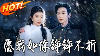 愿我如妳，铮铮不折