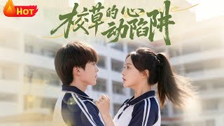 校草的心动陷阱