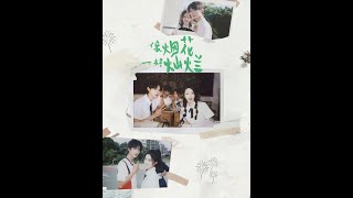 像烟花一样灿烂