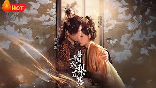 暮暮朝朝梨花落